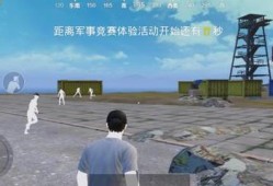 和平精英一休和a杨打对掏_凉皮杯一休a扬开挂和平精英