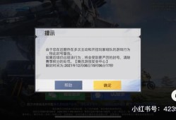 和平精英怎么透视_为什么和平精英透视不显示