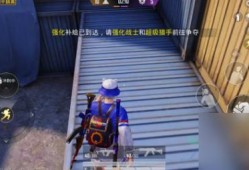 和平精英飞天挂怎么开的_和平精英汽车飞天什么挂