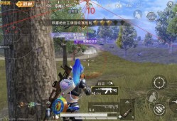 和平精英外挂【啊零直装V1.0】人物绘制透视 掩体子弹追踪 预判自瞄扫车  内透人物上色 全部枪械美化