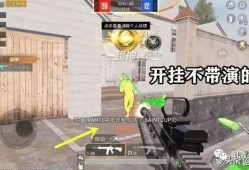 和平精英透视自瞄稳定_和平精英自瞄挂枪视频大全
