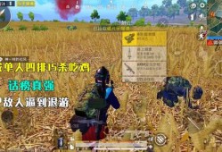 和平精英辅助购买_和平精英辅助呆妹