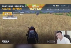 和平精英提高画质软件下载_和平精英最佳画质辅助软件下载