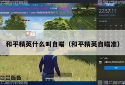 和平精英最高级是什么_和平精英现在最高级的外挂
