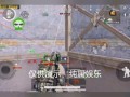 和平精英自瞄什么意思_和平精英开自瞄可以干什么