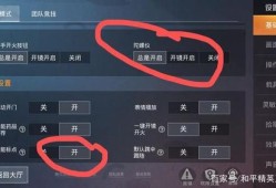 和平精英透视自瞄手机版怎么开_和平精英透视自瞄手机版本