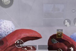 和平精英透视无后座辅助下载_和平精英免费透视无后座