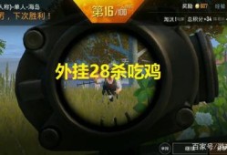 王小歪精彩集锦和平精英_和平精英王小歪靠外挂