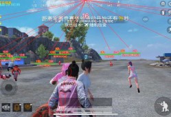 和平精英开挂的人_和平精英爸爸有人开挂