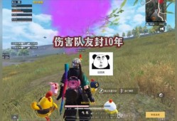 和平精英主播全是挂_和平精英主播被外挂打鸟