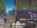 和平精英外挂语音包的存在与影响_和平精英有外挂语音包吗