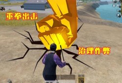 和平精英巅峰赛惊现外挂横行，游戏环境亟待净化_和平精英巅峰赛出现外挂