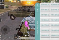 卡盟辅助和平精英_和平精英奥斯卡辅助