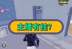 《和平精英遭遇科技手段，如何应对游戏中的违规行为》_玩和平精英遇到科技