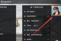 揭秘和平精英外挂：整局视频外挂的使用与风险探讨_和平精英整局视频外挂