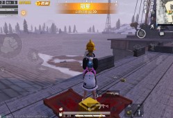 和平精英怎么自动瞄准_和平精英里怎么开自瞄