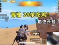 和平精英透视3元挂_刘一水和平精英外挂