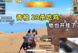 和平精英透视3元挂_刘一水和平精英外挂
