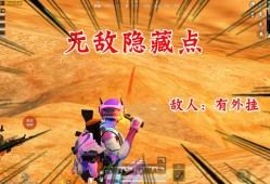和平精英自瞄外挂_和平精英沙漠遇见外挂