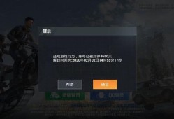 和平精英外挂遭举报成功，揭示游戏安全背后的正义力量与玩家责任_和平精英外挂被举报成功