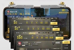 和平精英透视3元挂_和平精英不敢开外挂职业
