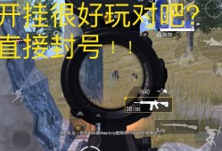 【揭秘和平精英开挂软件大全：工具使用指南与风险警告】_和平精英开挂软件大全