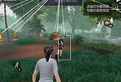 和平精英半火igg_和平精英igg挂防