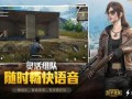 和平精英透视自瞄稳定_和平精英骑士透视自瞄下载