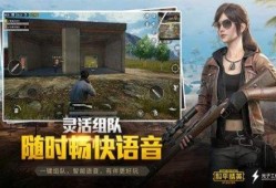和平精英透视自瞄稳定_和平精英骑士透视自瞄下载