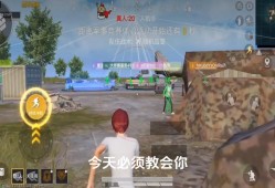 和平精英透视科技正版免费安卓_和平精英一键透视安卓免费版下载