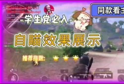 和平精英辅助自瞄_和平精英冯狗自瞄绘制辅助