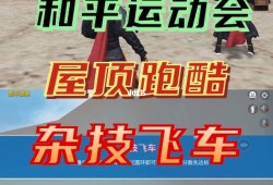 自瞄透视辅助器和平精英_和平精英免费自瞄透视辅助