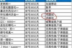 和平精英透视辅助器下载教程_和平精英透视挂修改器