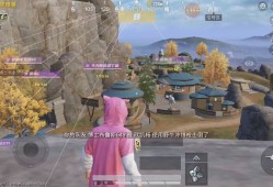 和平精英辅助【赏金猎人】纯一体直装 卸载原版和平 直接安装即可使用