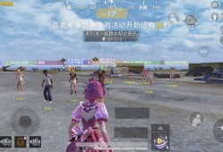 和平精英BLR定制容器直装辅助