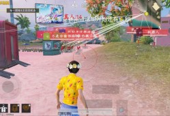 和平精英外挂【鲸鱼公益直装免费版】方框透视 车辆加速 人物飞天  开枪自瞄 雨林除草 掩体变色  无后坐力 物资显示 防老大
