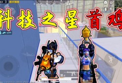 和平精英开镜视野怎么调小_和平精英透视镜头怎么调
