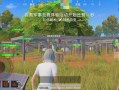 和平精英透视3元挂_和平精英开外挂专用的东西