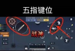 和平精英手机透视_手机和平精英咋么开透视