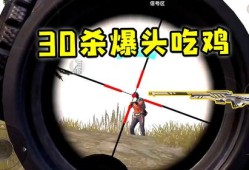和平精英外挂跳枪爆头揭秘：游戏技巧与伦理道德的探讨_和平精英外挂跳枪爆头