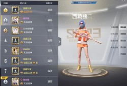 在和平精英里怎么开透视挂_和平精英开透视挂图片