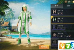 和平精英最新免费透视手机版_和平精英手机一键透视免费