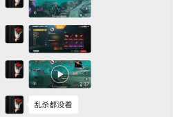 和平精英root插件【熊猫V1】免root/不用root/不需要root/封号作者剁鸡