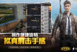和平精英自瞄辅助永久_和平精英自瞄辅助永久免费iso