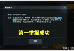 和平精英被队友举报禁赛怎么解除_向和平精英官方举报有挂会怎么样