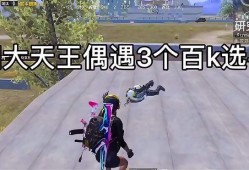免费的挂外软件和平精英_和平精英黄雀楼外挂