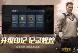 和平精英大仙辅助_大仙和平精英辅助下载