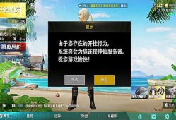 和平精英队友故意炸我_和平精英神仙队友外挂