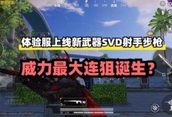 和平精英科技挂_和平精英坚持与努力外挂