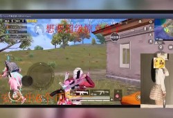 和平精英黑科技辅助器_黑科技直播间和平精英是真的吗